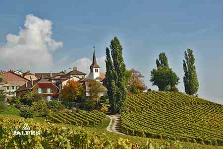 Vignobles rivièra Vaudoise, Suisse