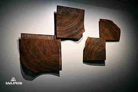 Musée du Bugey-Valromey, sculpture contemporaine en bois réalisée par l'artiste Pascal Oudet