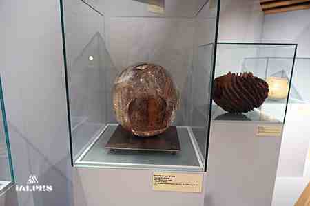Exposition Wood, musée du Bugey-Valromey