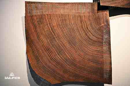Exposition Wood, musée du Bugey-Valromey