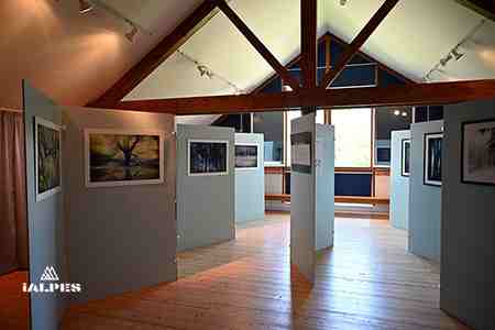 Musée Bugey-Valromey, exposition états d'arbres Lydie Georges et Jérôme Pruniaux