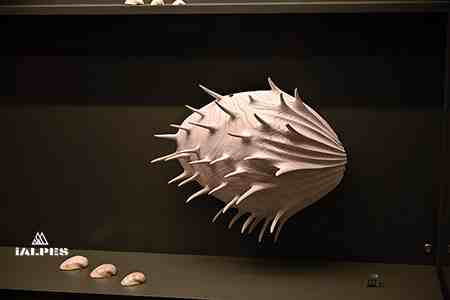 Exposition Wood, musée du Bugey-Valromey