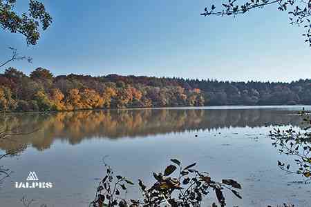 Etang parc de la Rena dans l'AIn