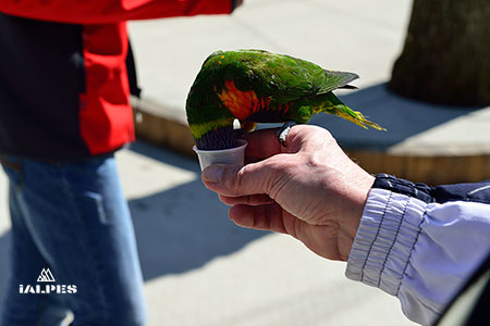 Patrimoine naturel de l'Ain, le parc des oiseaux