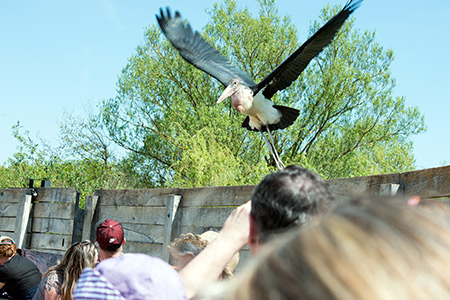 parc des oiseaux, Villars-les-Dombes