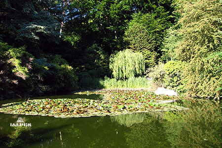 Genève, parc des Eaux-Vives,