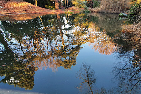 Genève, parc La Grange, le lac alpin