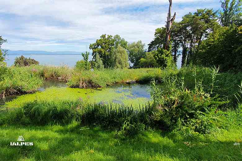 Les Jardins de l'eau du Pré Curieux à Évian-les-Bains