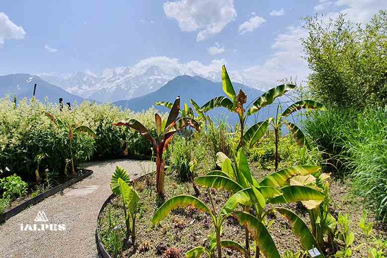 Le Jardin des Cimes face au massif du Mont-Blanc