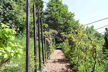 Jardin des Cimes à Passy, Haute-Savoie