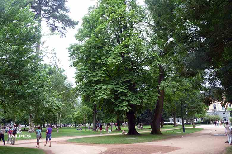 Allée du Jardin de l'Europe à Annecy