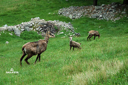 Les Houches, parc de Merlet