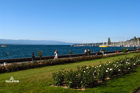 Lac Léman Genève