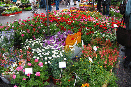 Jour de marché Haute-Savoie