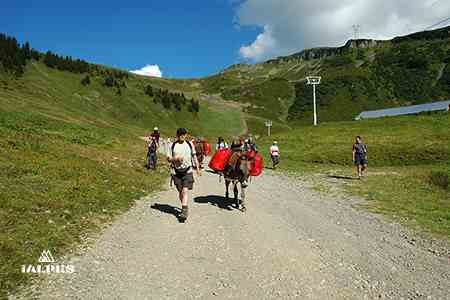 Randonneurs sur les sentiers face aux sommets de Haute-Savoie