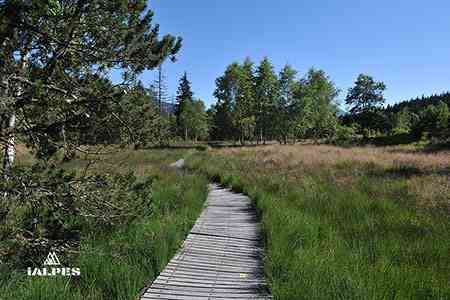 Parcs