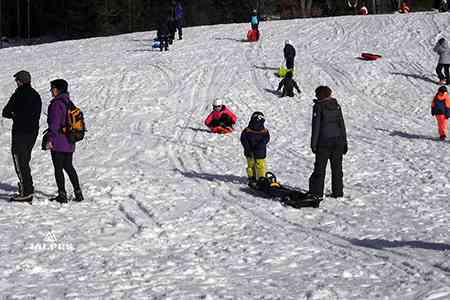 Luge