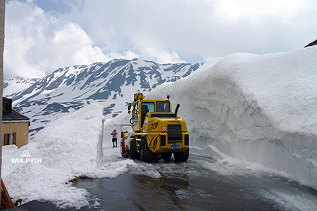Valais, col du Grand-Saint-Bernard 