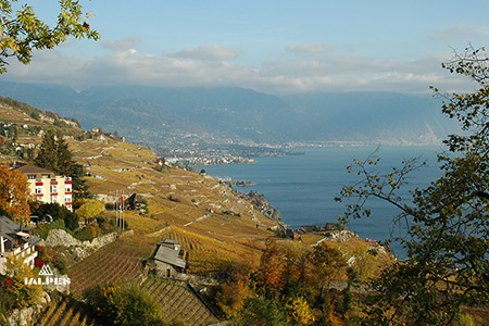 Vaud, la Rivièra et ses vignobles