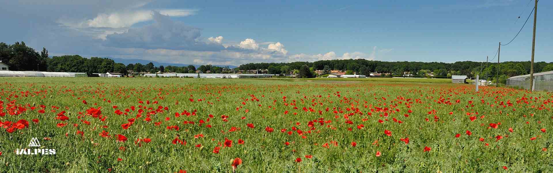 Campagne genevoise, Suisse