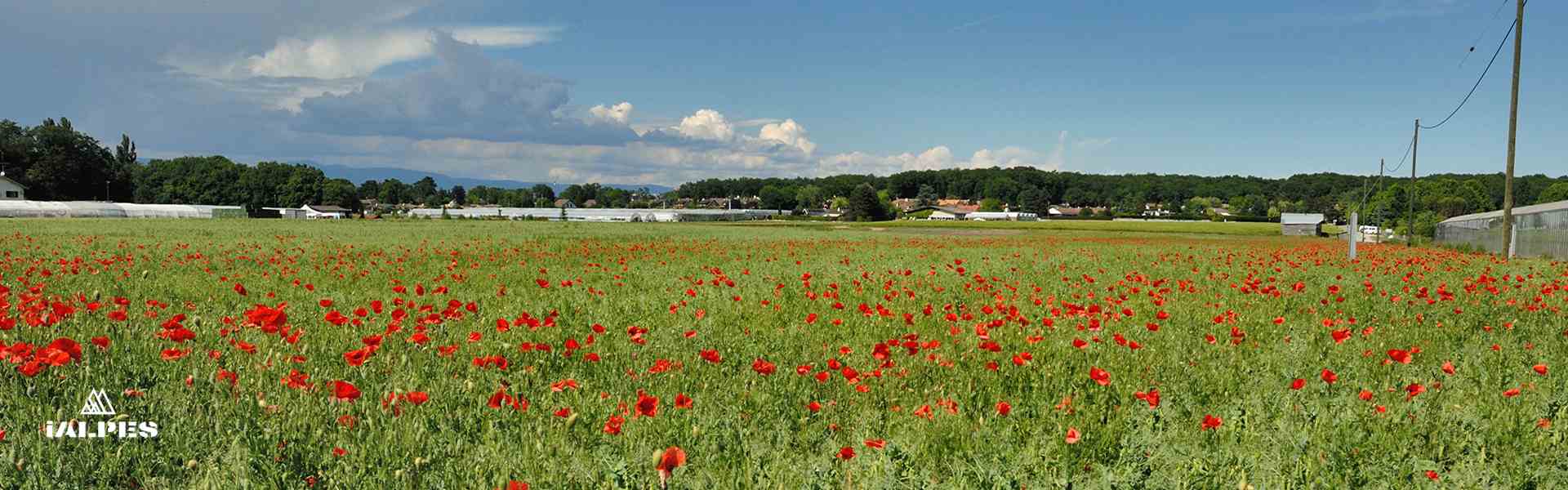 Campagne genevoise, Suisse