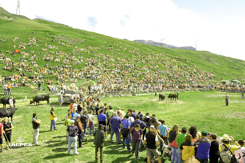 Vallée d'Aoste, fête des Bergers