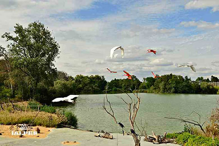 Parc des oiseaux, Ain