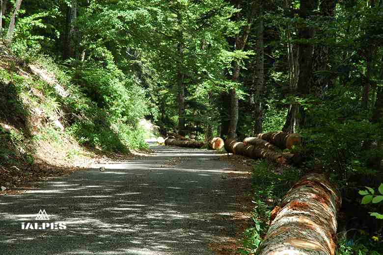Avoriaz, domaine les Portes du Soleil