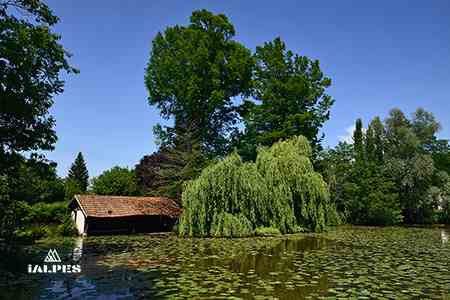 Etang de la Dombes, Ain