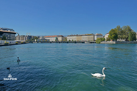 Rade de Genève