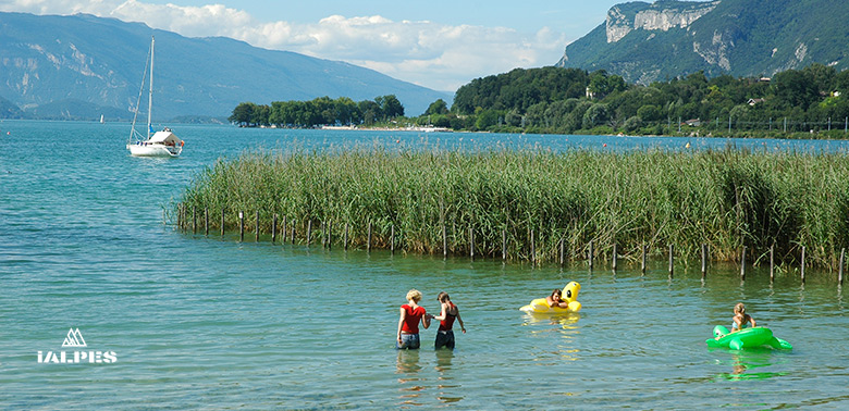 Aix-les-Bains, la roselière lac du Bourget