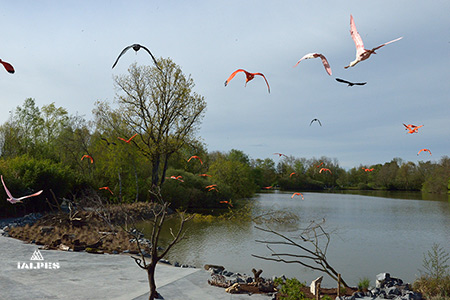 Ain, Parc des oiseaux