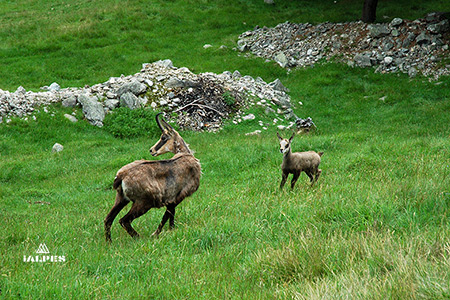 Basilique de la Visitaion à Annecy, Haute-Savoie