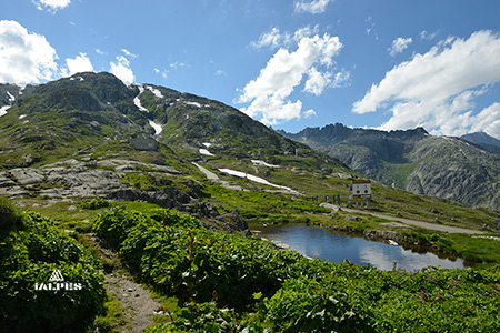 Valais, col du Grimsel, accès route panoramique de l'Oberaar.