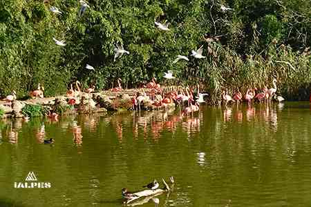 Parc des oiseaux, Villars-les-Dombes, France