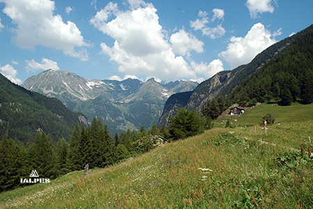 Valais: col de la Forclaz