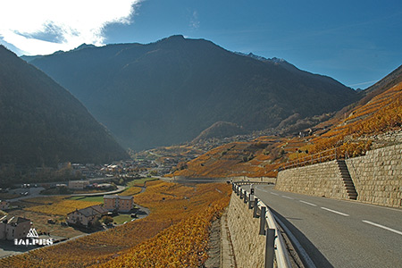 Valais: route du vignoble Martigny
