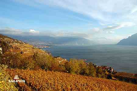 Vignobles du canton de Vaud, Suisse