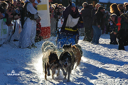 Musher 