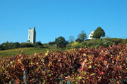 vignobles de Savoie