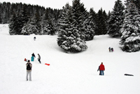 les bauges