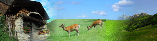 parc_3.jpg