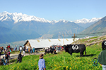 Inalpe Randonnaz, Suisse