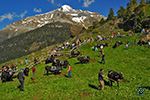 Inalpe Randonnaz, Suisse