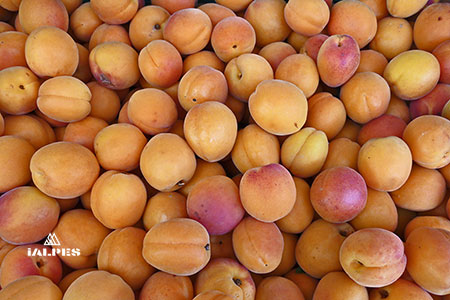 Sample image for first version of blog listing