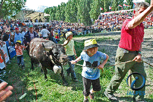 Finale à Vétroz, Valais