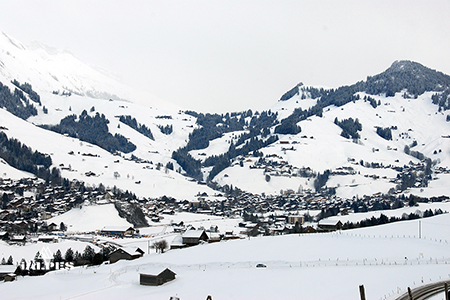 Piste de luge